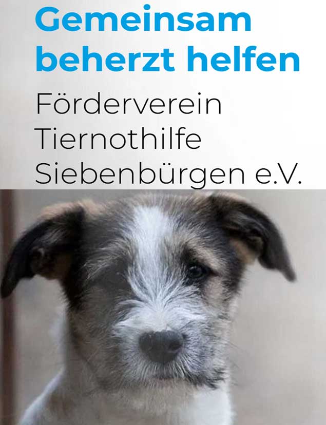 Tiernothilfe Siebenbürgen